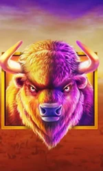 Buffalo King
