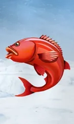 Ice Fishing
